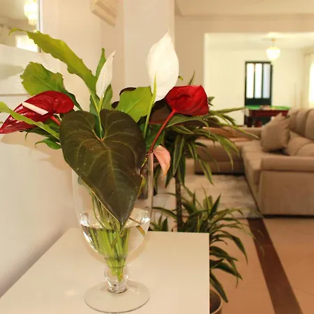 Madeira Spacious Semesterbostad Funchal (Madeira)