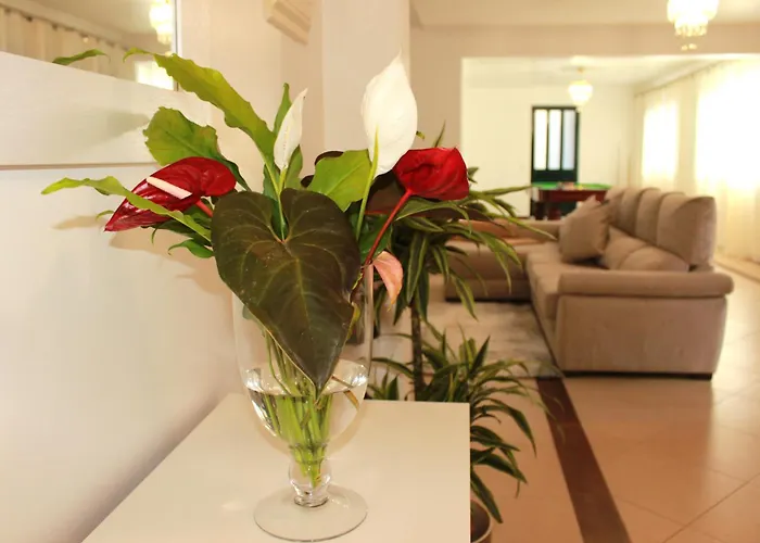 Madeira Spacious Holiday home Funchal (Madeira)